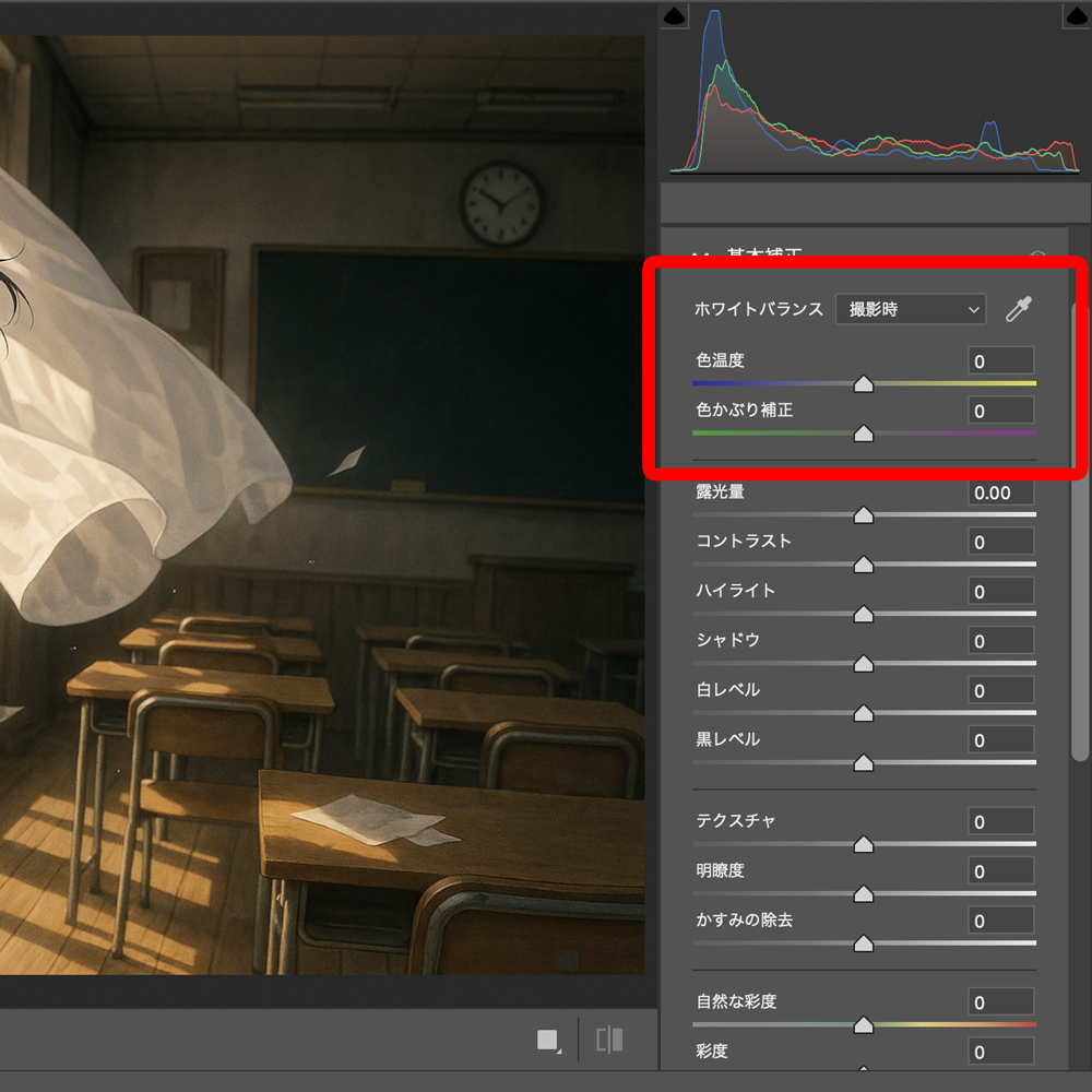 Photoshop Camera Rawのホワイトバランス調整項目のインターフェース-2