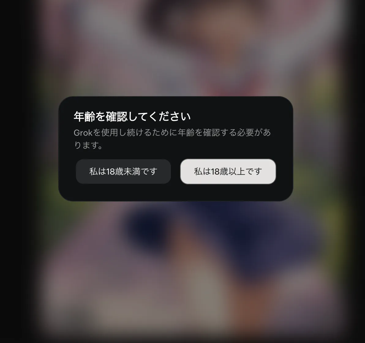 Grok ImagineのSpicyモード利用時の注意書きが表示される画面の資料