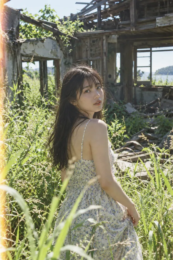 崩れた古い家と高く伸びた夏草。強い夏の日差しが差す廃屋の風景。